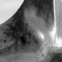Arcus