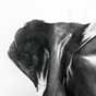 Torso_VIII